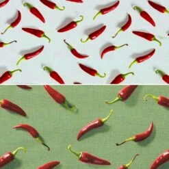 Durable Red Pepper Print Cotton Canvas Fabric for Bags and Apparel