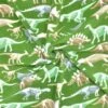 Green Dinosaur Skeleton Anti-Pill Polar Fleece Fabric -Pound Fabrics Sale Store image 048a0cea 6ce8 4d13 80ad 124526603ec1